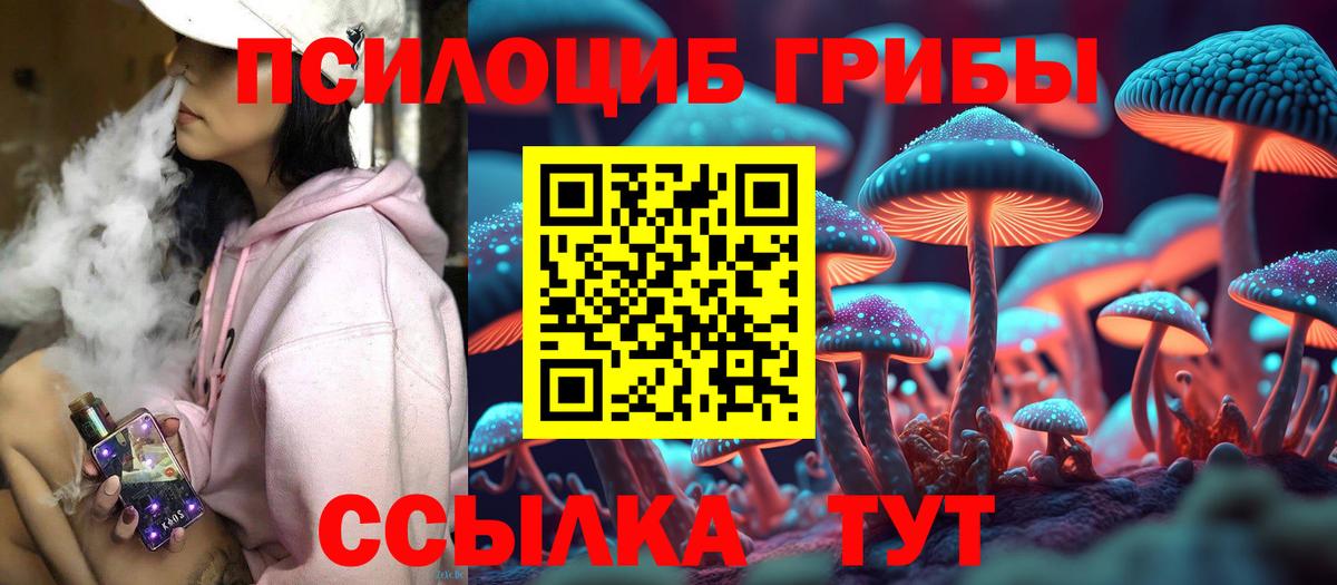 Ноябрьск  Галлюциногенные грибы мицелий  Вход с VPN 